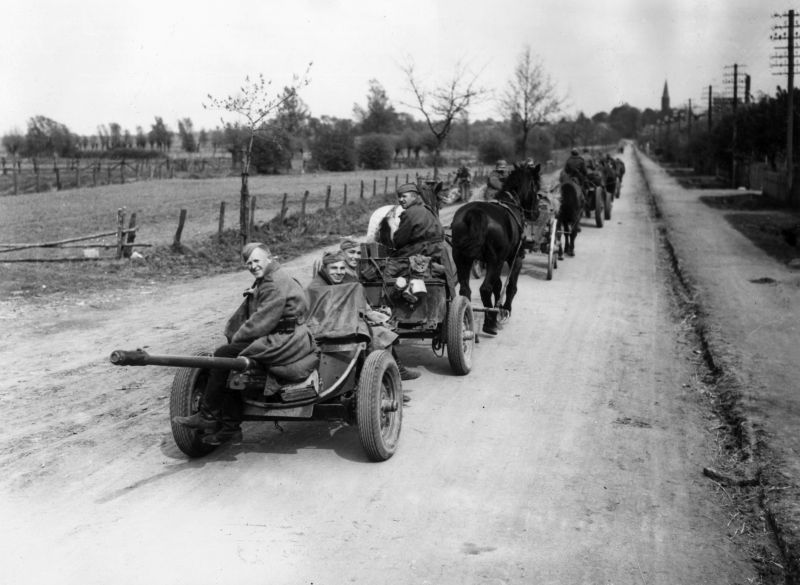 Советское артиллерийское подразделение с 45-мм противотанковыми пушками  на конной тяге на марше под Берлином