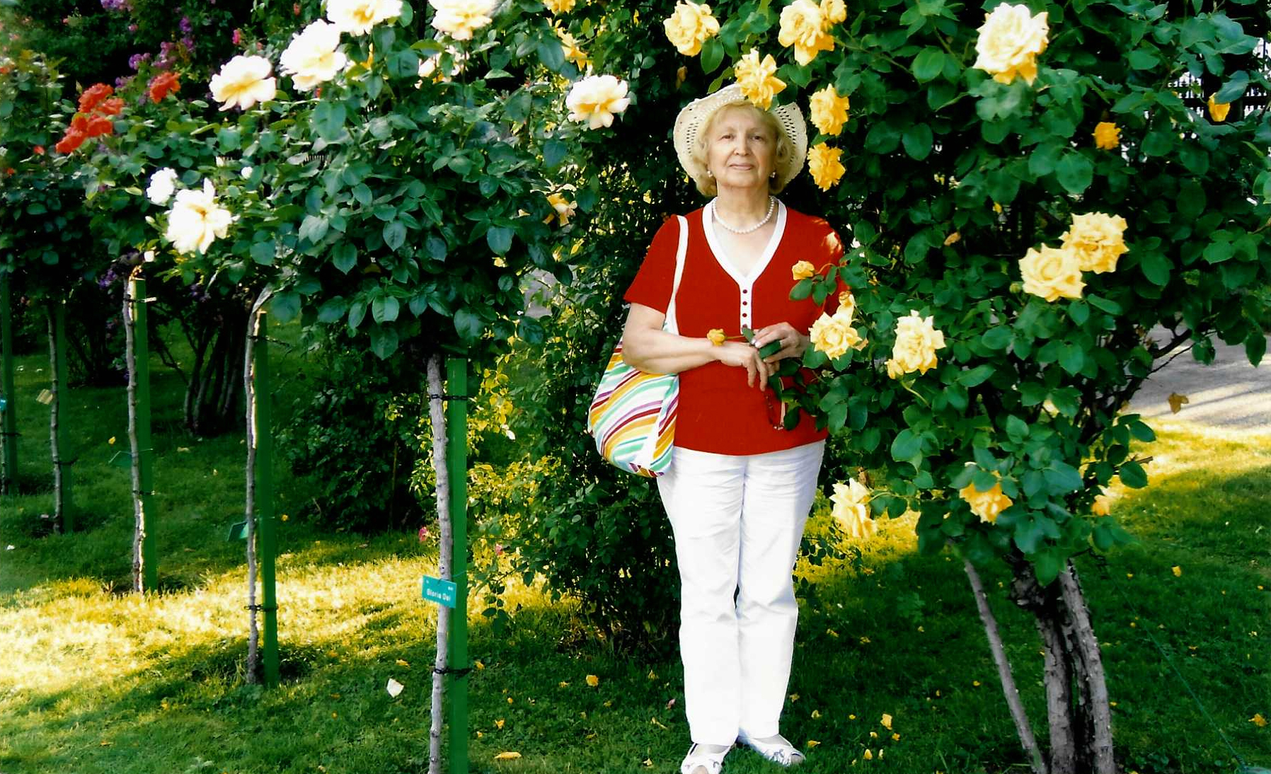 Васильева Н., 2012 г.