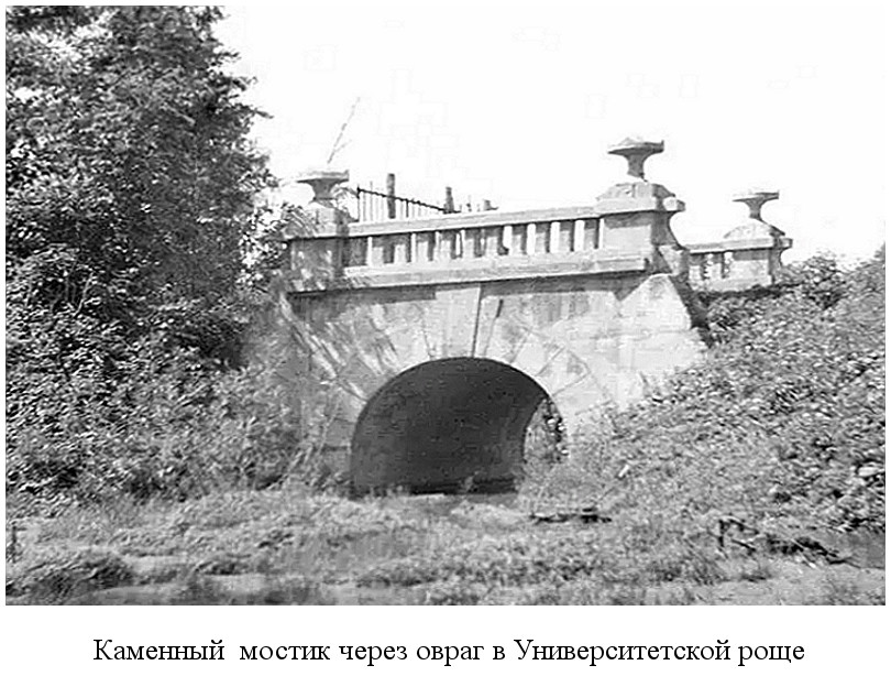закончено строительство каменного мостика через овраг в Университетской роще (1909)
