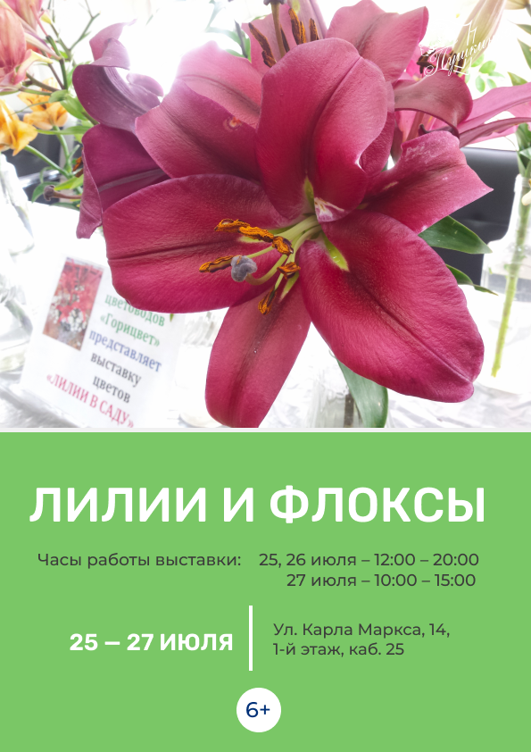 Выставка цветов «Лилии и флоксы» (6+)